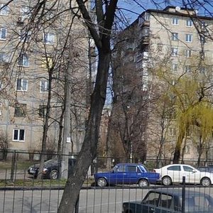 Borschahivska Street, 4, Kyiv: photo