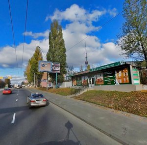 Oleny Telihy Street, 4, Kyiv: photo