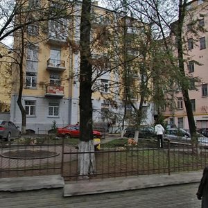 Sichovykh Striltsiv Street, 58/2Б, Kyiv: photo