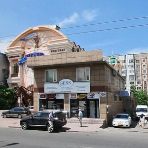 Алматы, Улица Толе би, 209: фото