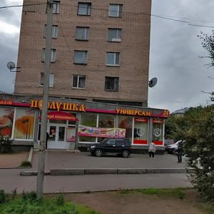 Kutuzova Boulevard, 43, Vyborg: photo