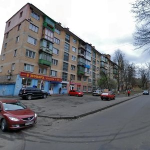 Kopernyka Street, 29, Kyiv: photo