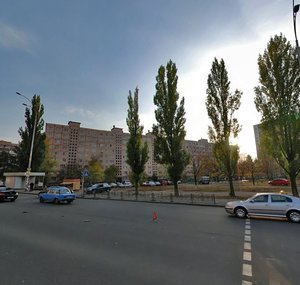 Heroiv Stalinhrada Avenue, 9, Kyiv: photo