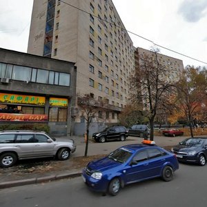 Borschahivska Street, 146, Kyiv: photo