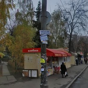 Politekhnichnyi Lane, 1А, Kyiv: photo