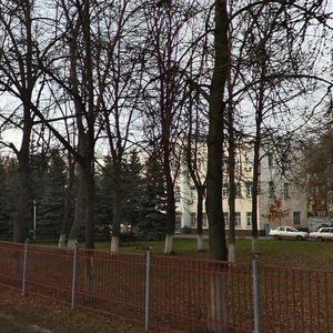 Ilicha Avenue, 32, Nizhny Novgorod: photo