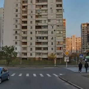 Larysy Rudenko Street, 3А, Kyiv: photo