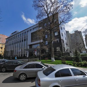 Kovpaka Street, 29, Kyiv: photo