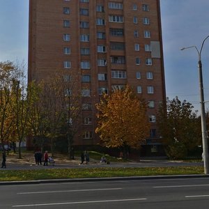 Dunina-Marcinkievicha Street, 10, : foto