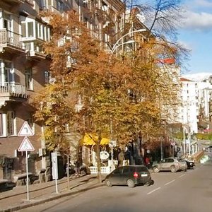 Borysa Hrinchenka Street, 4, Kyiv: photo
