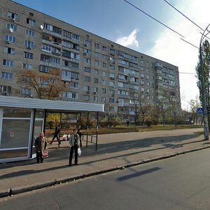 Marshala Malynovskoho Street, 11, Kyiv: photo