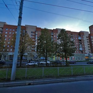 Veteranov Avenue, 142, Saint Petersburg: photo