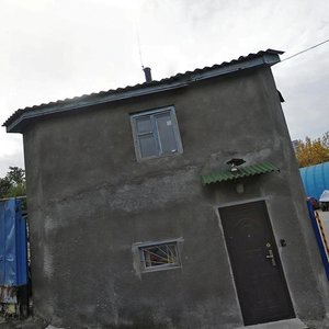 Chaplyhina Lane, 21 ، كييف: صورة