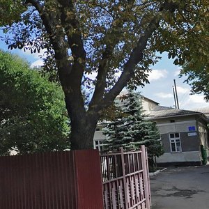 Vulytsia Mykoly Hoholia, 11 ، : صورة