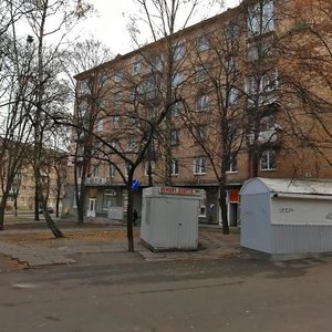 Piterska Street, 16, Kyiv: photo