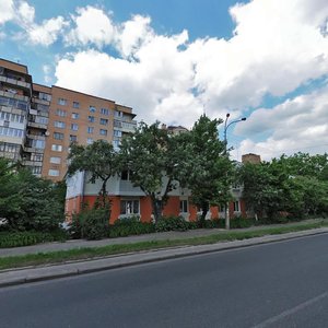 Vulytsia Stepana Bandery, 17, : foto