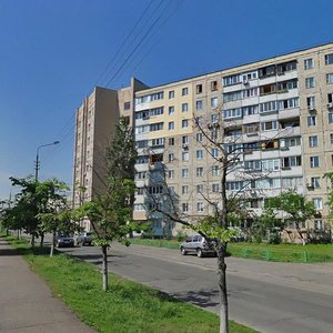 Pryrichna Street, 19, Kyiv: photo