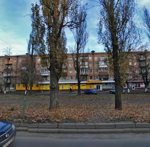 Vatslava Havela Boulevard, 79, Kyiv: photo