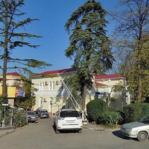 Vinogradnaya Street, 51, Sochi: photo