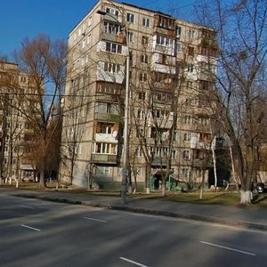 Schusieva Street, 40, Kyiv: photo