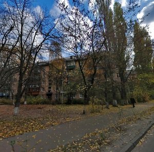 Kolomyiskyi Lane, 12, Kyiv: photo