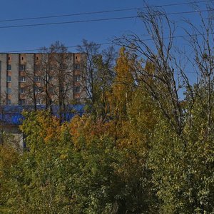 Votkinskoye Highway, 156А, Izhevsk: photo