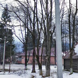 Vulytsia Borkaniuka, 7, Zakarpattia District: photo