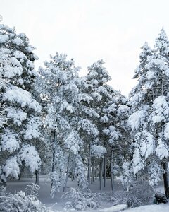 Novaya ulitsa, 1, Republic of Adygea: photo