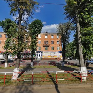 Zamostianska vulytsia, 17, Vinnytsia: photo