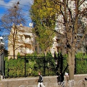 Sichovykh Striltsiv Street, 54, Kyiv: photo