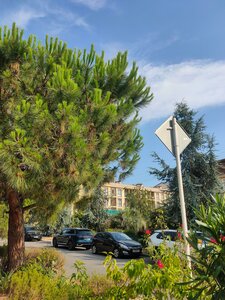 Nizhneimeretinskaya Street, 143 ، كراسنودار كراي: صورة