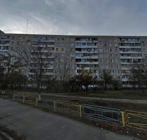 Pryrichna Street, 17, Kyiv: photo