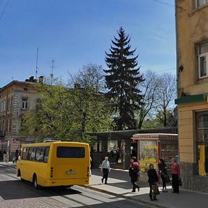 Horodotska vulytsia, 63 ، لفيف: صورة
