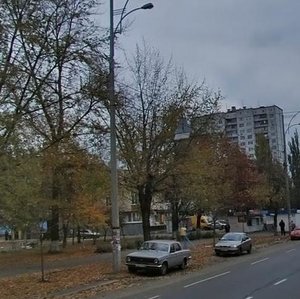 Lisovyi Avenue, 23, Kyiv: photo