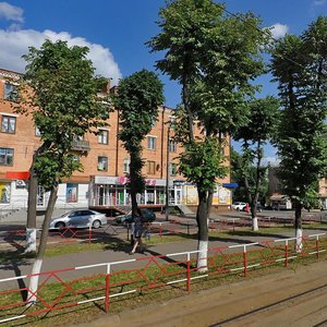 Zamostianska vulytsia, 17, Vinnytsia: photo