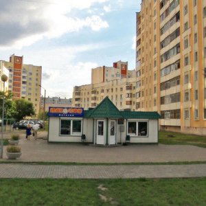 Vulica Svirydava, 32А, Gomel: photo