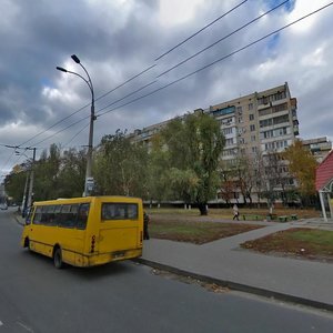 Yaroslava Ivashkevycha Street, 5, Kyiv: photo