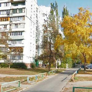 Vulytsia Bocharova, 10 ، زابوروجي: صورة