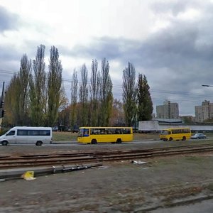 Simi Sosninykh Street, 17, Kyiv: photo