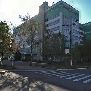 Vasenko Street, No:30, Saransk: Fotoğraflar