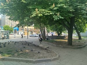 9th Parkovaya Street, 59к3, Moscow: photo