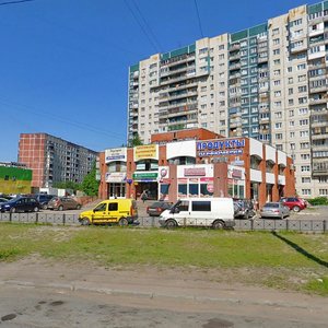 Nastavnikov Avenue, 31к1, Saint Petersburg: photo