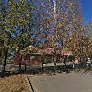 Konnozavodskaya Street, 30, Penza: photo