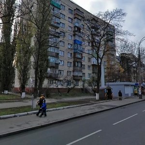 Kyrylivska Street, 129, Kyiv: photo