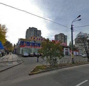Raisy Okipnoi Street, 3, Kyiv: photo