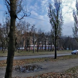 Vatslava Havela Boulevard, 45, : foto