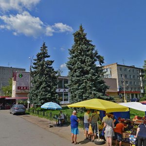 Sovetskaya Street, 108, Bronnizi: photo