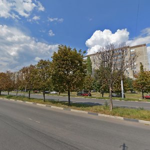 Pobedy Boulevard, 12, Voronezh: photo
