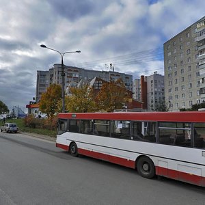 Ulitsa Nizhnyaya Dubrova, No:30А, Vladimir: Fotoğraflar