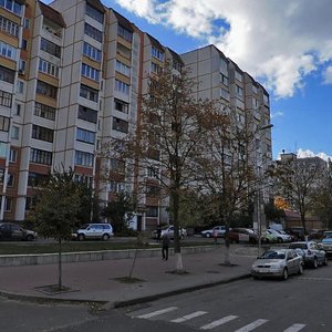 Yevropeiska vulytsia, 24А, Vyshneve: photo